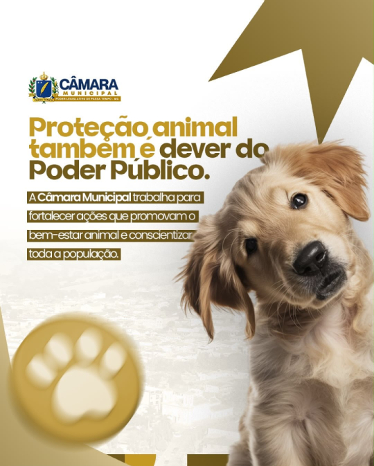 Proteção animal é compromisso de toda a sociedade.
